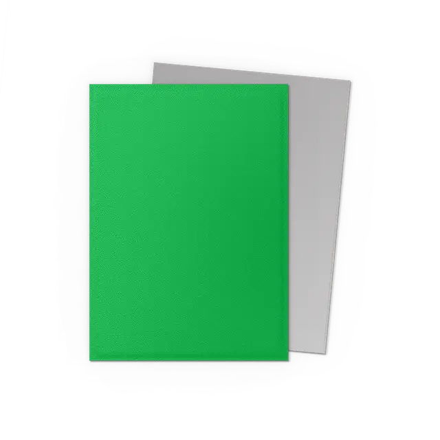 Dragon Shield Standard DUAL Matte Apple Green & Silver - Image 2